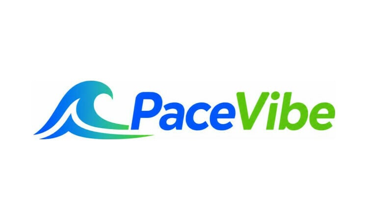 PaceVibe logo