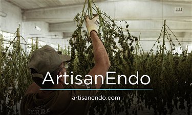 ArtisanEndo.com - Creative brandable domain for sale