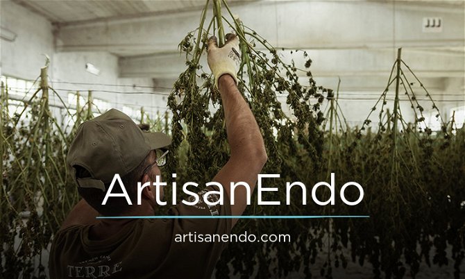 ArtisanEndo.com