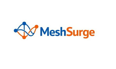 MeshSurge.com is for sale