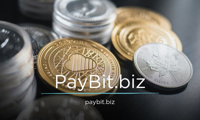 PayBit.biz