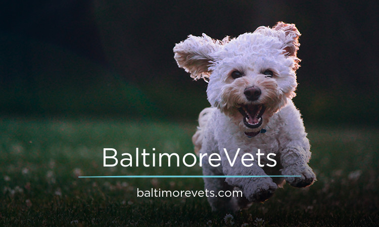 BaltimoreVets logo