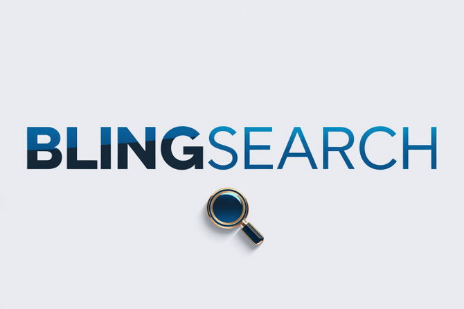 BlingSearch.com