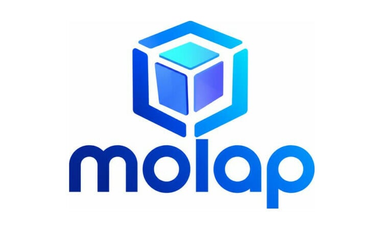 MOLAP logo