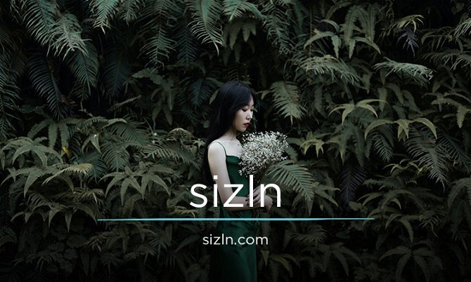 sizln.com