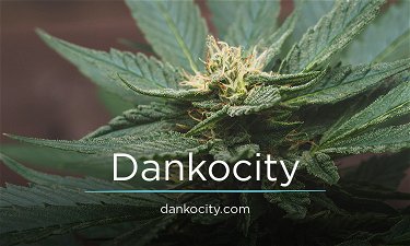 Dankocity.com - Creative brandable domain for sale