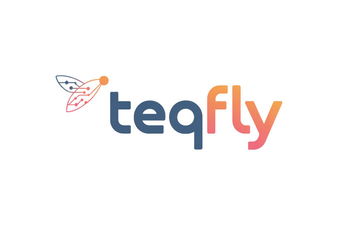 teqfly logo
