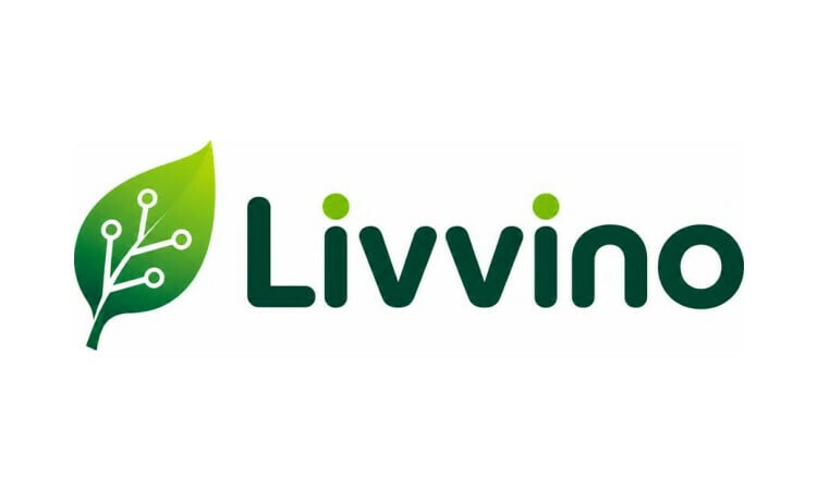 Livvino logo