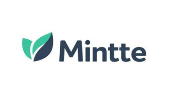 Mintte.com is for sale