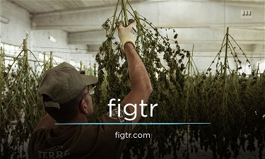 figtr.com