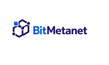 BitMetanet.com - Creative brandable domain for sale