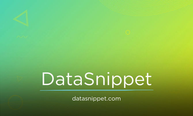 DataSnippet.com