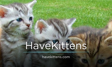 HaveKittens.com