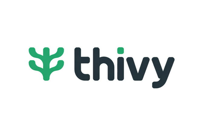 thivy.com
