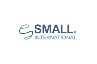 Small.International - Creative brandable domain for sale
