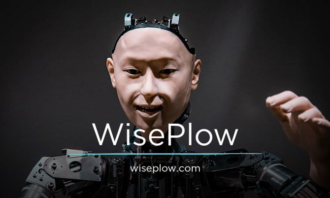 WisePlow.com