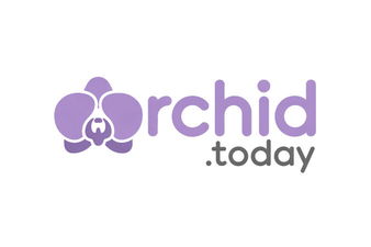 Orchid.today - Creative brandable domain for sale