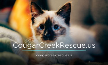 CougarCreekRescue.us - Creative brandable domain for sale