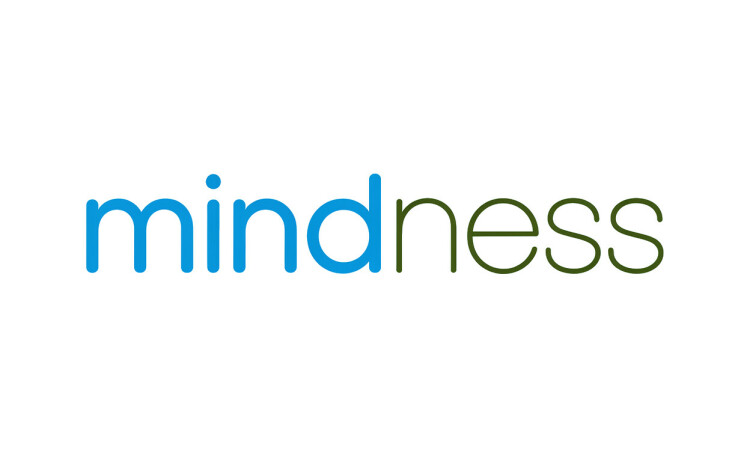 Mindness logo