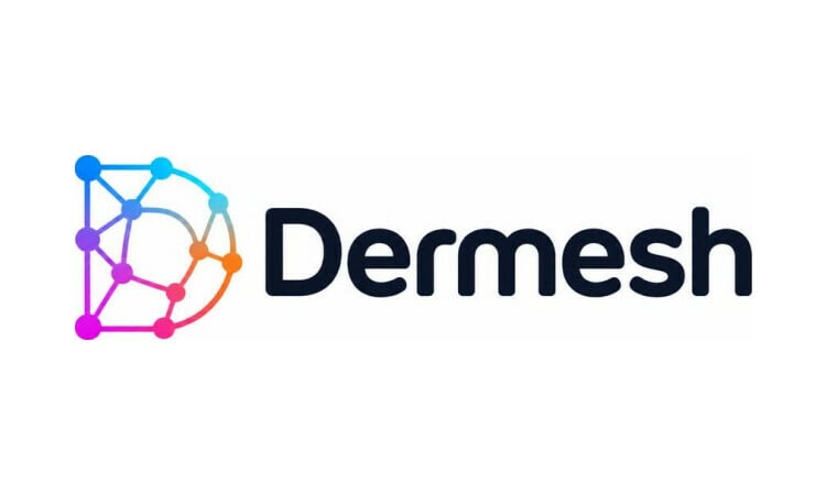 Dermesh logo