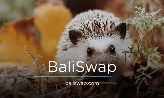 BaliSwap.com