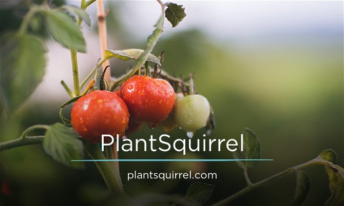 PlantSquirrel.com