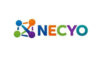 NECYO.com is for sale