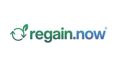 Regain.now - Creative brandable domain for sale