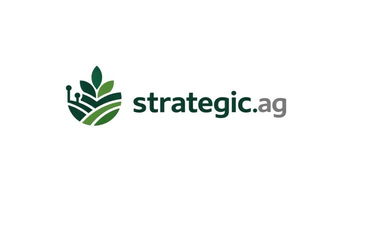 Strategic logo