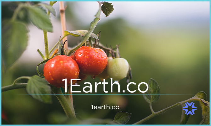 1Earth.co