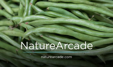 NatureArcade.com - Creative brandable domain for sale