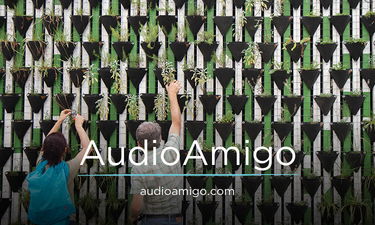 AudioAmigo.com - Creative brandable domain for sale