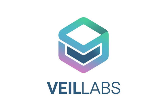VeilLabs.com