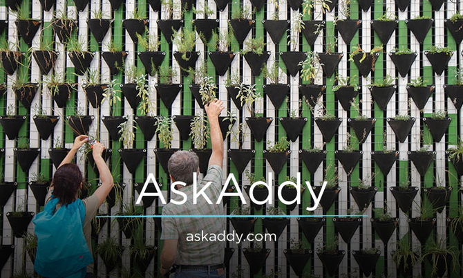 AskAddy.com