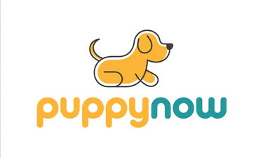 PuppyNow.com - Creative brandable domain for sale