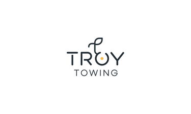 TroyTowing.com - Creative brandable domain for sale
