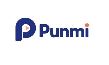 Punmi.com is for sale