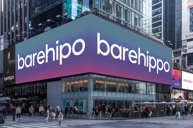 BareHippo.com — 3