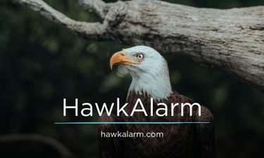 HawkAlarm.com - Creative brandable domain for sale