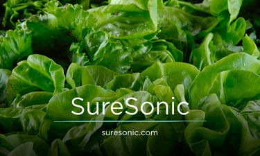 SureSonic.com - Unique premium domain names