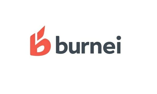 burnei logo
