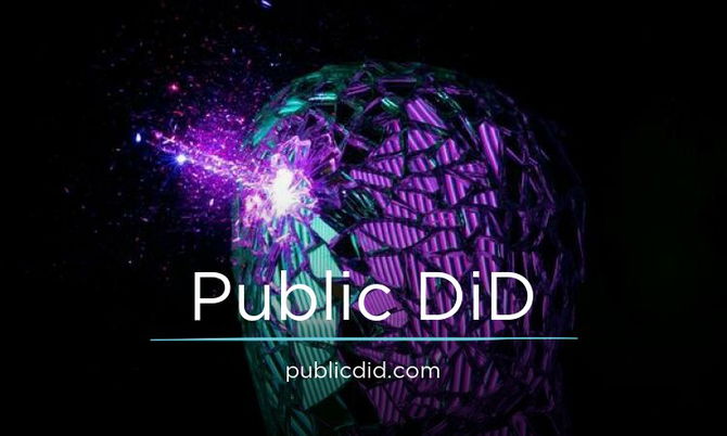 PublicDiD.com