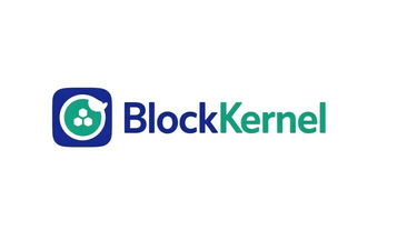 BlockKernel logo