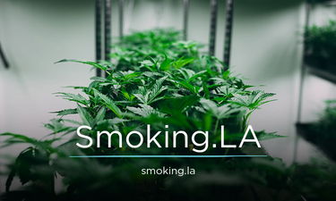 Smoking.LA - Creative brandable domain for sale