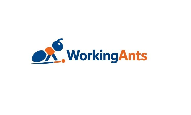 WorkingAnts logo