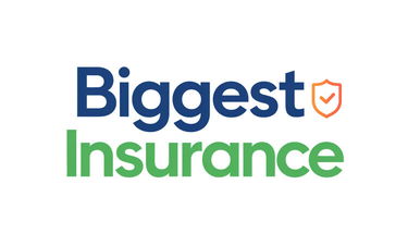 BiggestInsurance.com - Creative brandable domain for sale