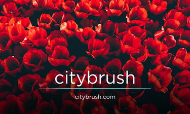CityBrush.com - Great premium domains