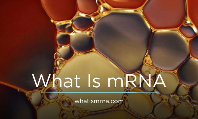 WhatIsMRNA.com