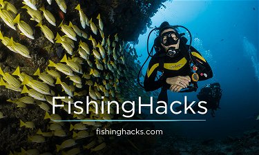 FishingHacks.com - Creative brandable domain for sale