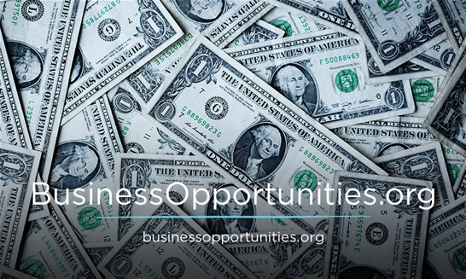 BusinessOpportunities.org